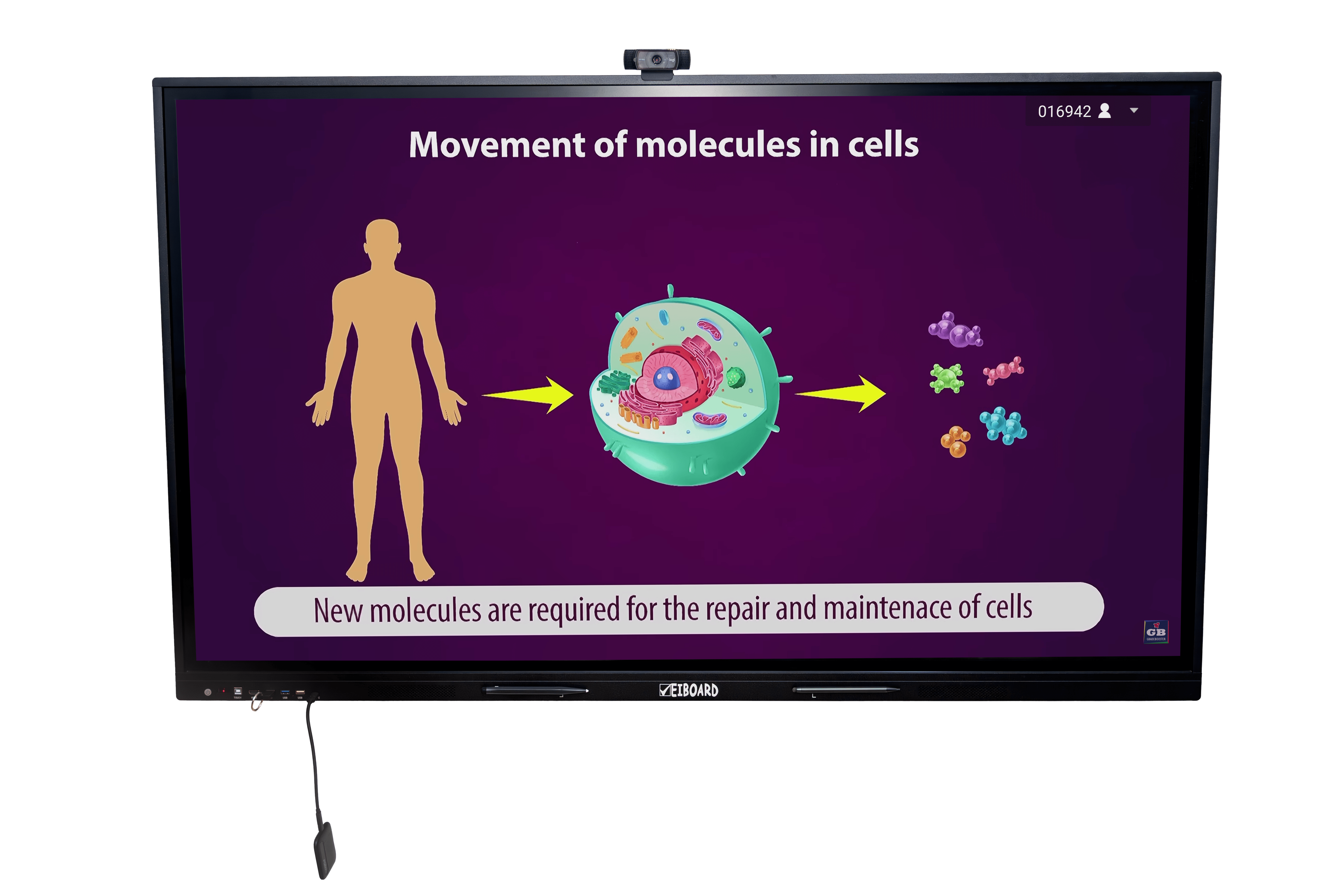 85-Inch Interactive Flat Panel Display - Image 9