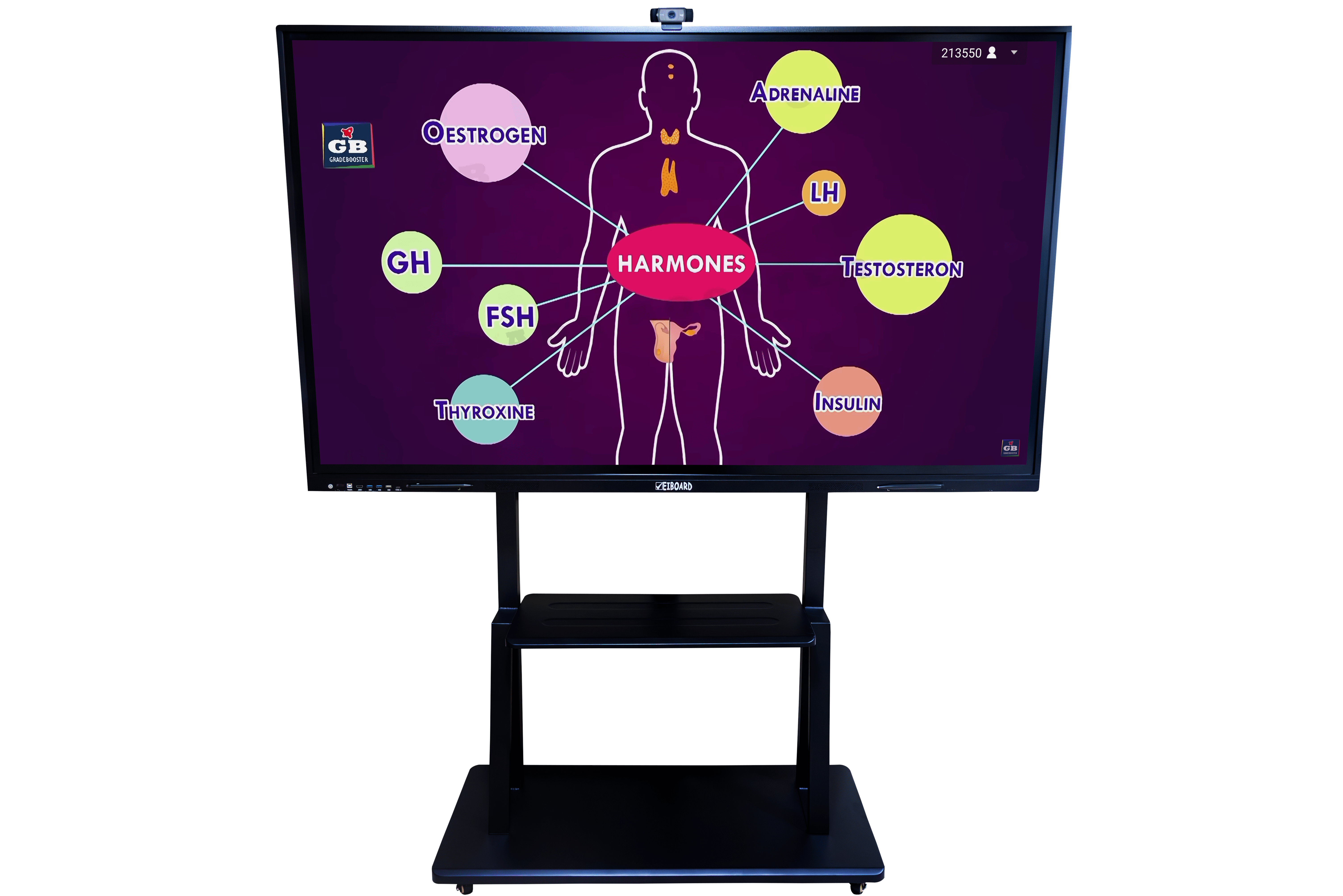 85-Inch Interactive Flat Panel Display - Image 7
