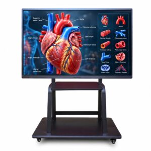 OneTouch 86 inch Premium interactive flat panel on floor stand